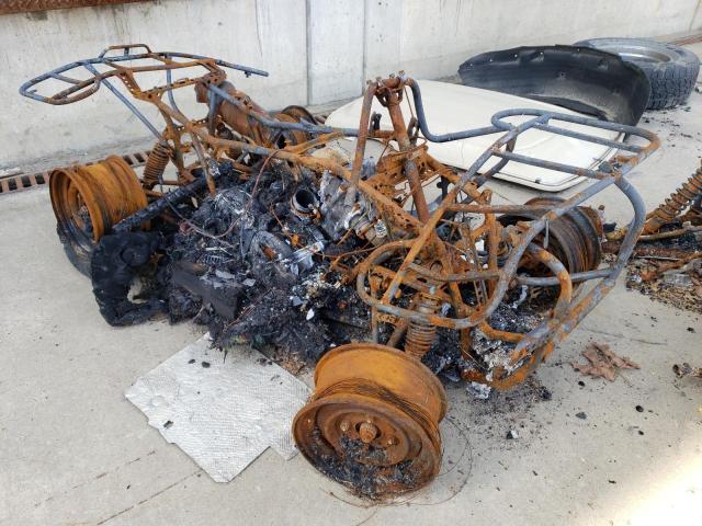 JH2TE36058K003474 - 2008 HONDA TRX 700 XX BURN photo 1