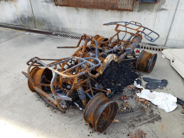 JH2TE36058K003474 - 2008 HONDA TRX 700 XX BURN photo 2