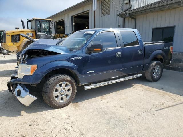 2014 FORD F150 SUPERCREW, 