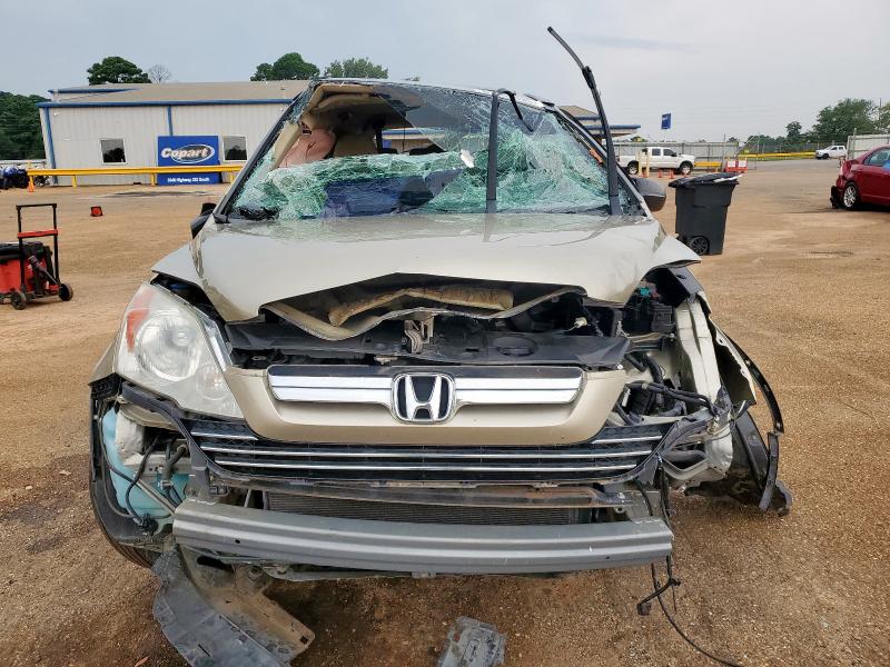 3CZRE385X9G702310 - 2009 HONDA CR-V EX GOLD photo 5