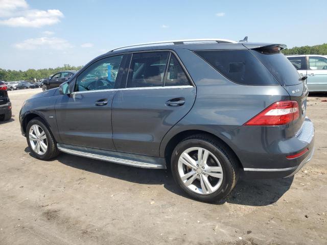 4JGDA5HB5CA025410 - 2012 MERCEDES-BENZ ML 350 4MATIC GRAY photo 2