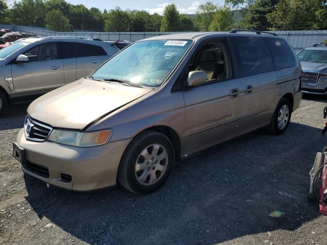 5FNRL18624B137753 - 2004 HONDA ODYSSEY EX GOLD photo 1