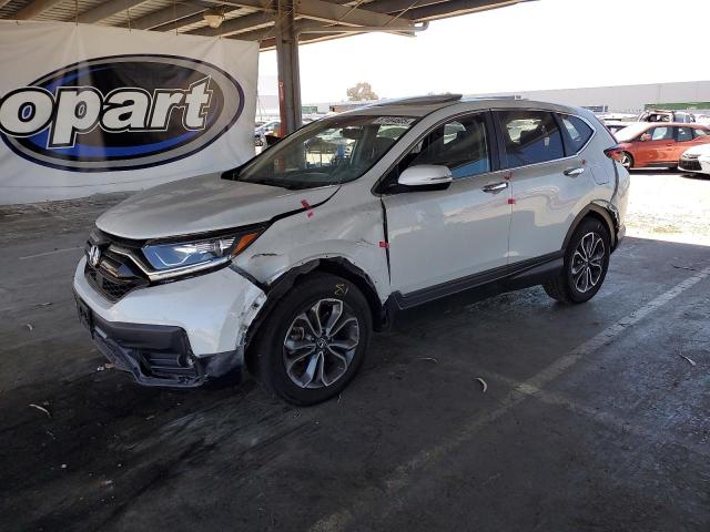 2022 HONDA CR-V EXL, 