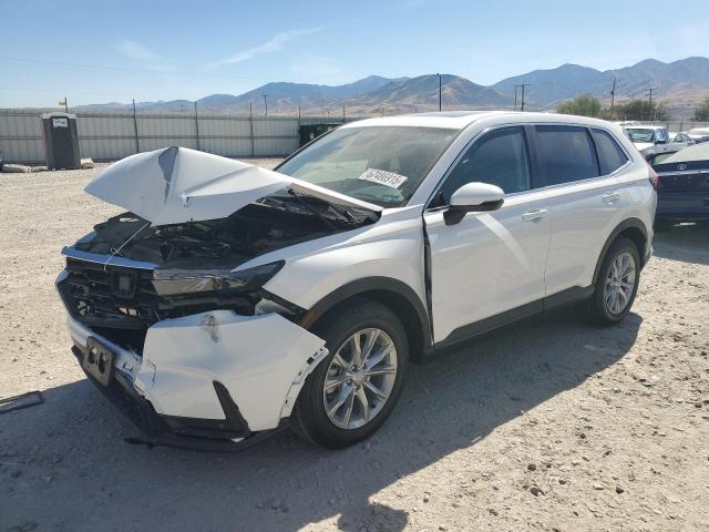 2024 HONDA CR-V EXL, 