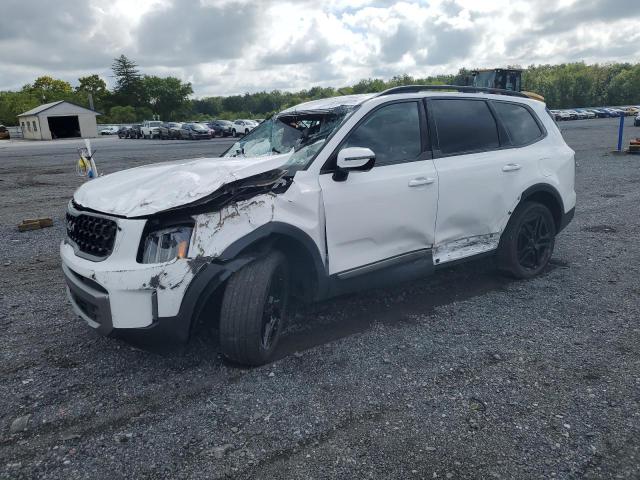 5XYP5DGC7PG375718 - 2023 KIA TELLURIDE SX WHITE photo 1