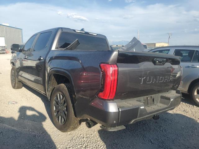 5TFNA5DB4SX276252 - 2025 TOYOTA TUNDRA CREWMAX PLATINUM Boz foto 2