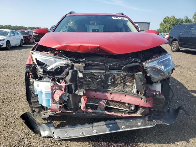 JTMWFREV4GJ074558 - 2016 TOYOTA RAV4 XLE RED photo 5