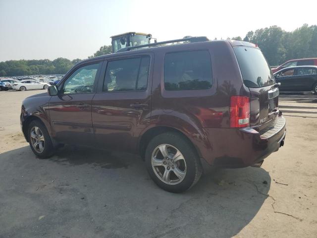 5FNYF4H55DB015092 - 2013 HONDA PILOT EXL ბურგუნდია ფოტო 2