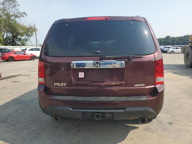 5FNYF4H55DB015092 - 2013 HONDA PILOT EXL ბურგუნდია ფოტო 6
