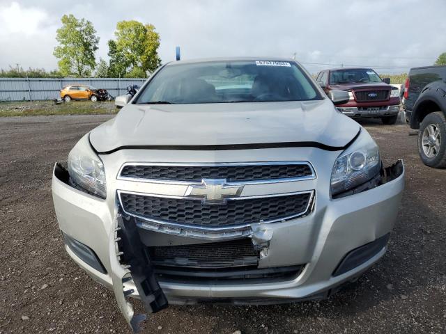 1G11C5SA3DF144152 - 2013 CHEVROLET MALIBU 1LT 米色 照片 5