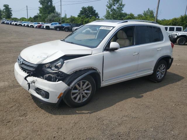 2013 VOLKSWAGEN TIGUAN S, 
