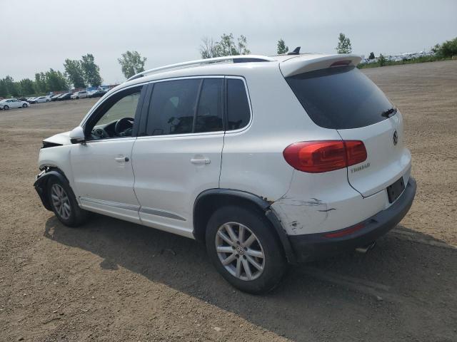 WVGJV7AX6DW044934 - 2013 VOLKSWAGEN TIGUAN S WHITE photo 2