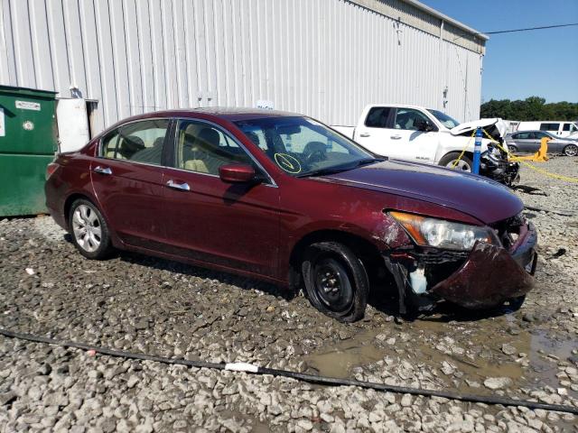 1HGCP36888A055617 - 2008 HONDA ACCORD EXL BURGUNDY photo 4