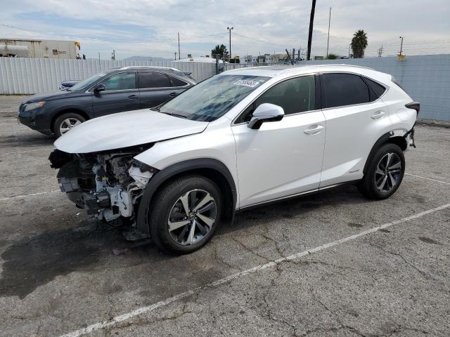 JTJGJRDZ4L5009278 - 2020 LEXUS NX 300H WHITE photo 1