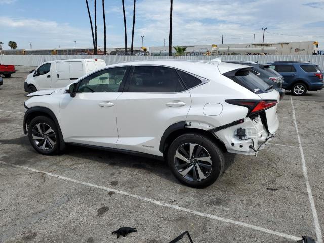 JTJGJRDZ4L5009278 - 2020 LEXUS NX 300H WHITE photo 2