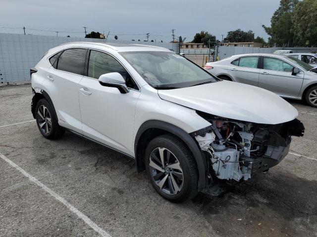 JTJGJRDZ4L5009278 - 2020 LEXUS NX 300H WHITE photo 4