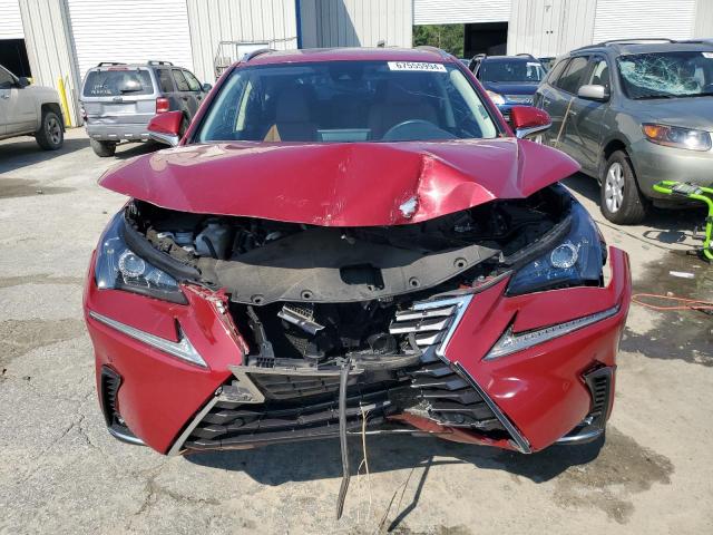 JTJGARBZ0M5024638 - 2021 LEXUS NX 300 BASE წითელი ფოტო 5