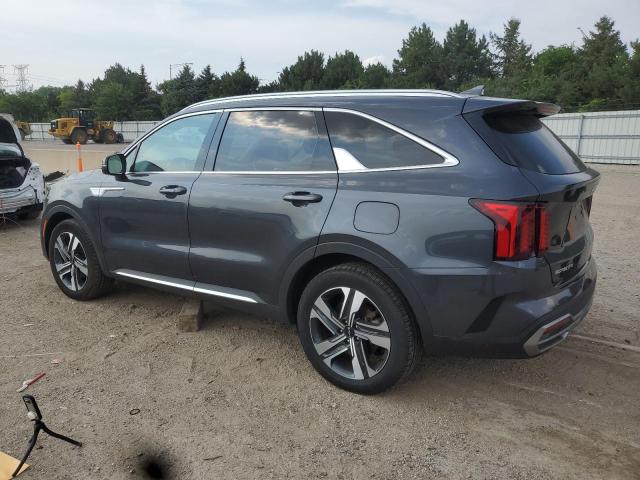 KNDRHDLG4P5214132 - 2023 KIA SORENTO EX GRAY photo 2