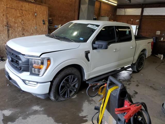 2023 FORD F150 SUPERCREW, 