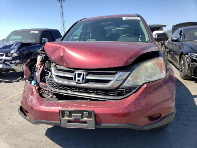 5J6RE3H44BL020328 - 2011 HONDA CR-V SE RED photo 5