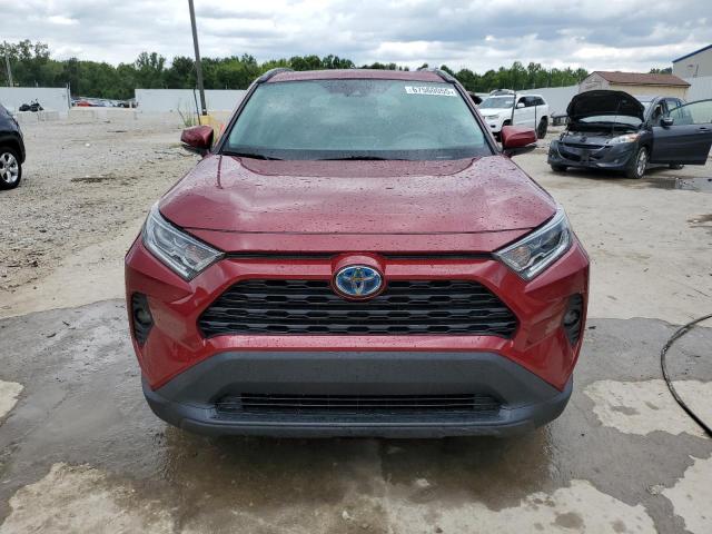 4T3R6RFV7MU030787 - 2021 TOYOTA RAV4 XLE 红色 照片 5