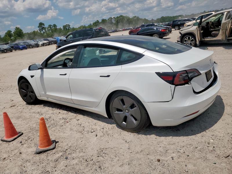 5YJ3E1EA5PF606492 - 2023 TESLA MODEL 3 Ağ foto 2