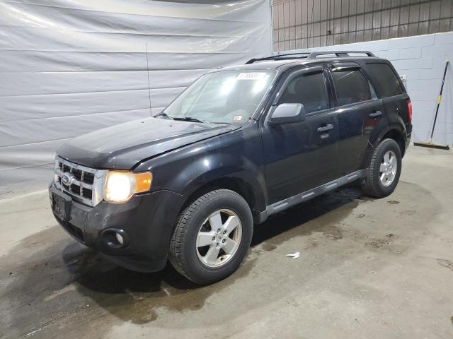 2010 FORD ESCAPE XLT, 
