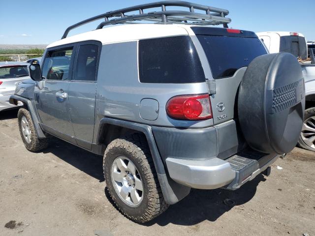 JTEBU11F09K057401 - 2009 TOYOTA FJ CRUISER GRAY photo 2