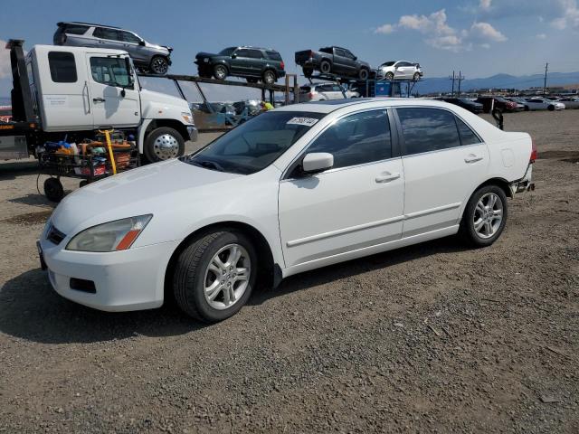 JHMCM56806C010805 - 2006 HONDA ACCORD EX WHITE photo 1