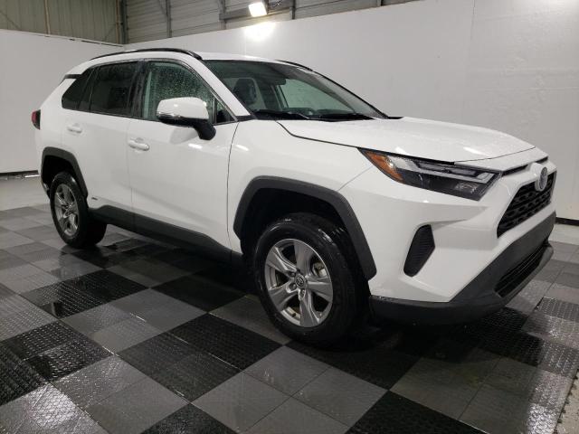 4T3MWRFVXRU160693 - 2024 TOYOTA RAV4 LE 白色 照片 4