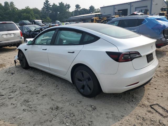 5YJ3E1EB1MF980621 - 2021 TESLA MODEL 3 Ağ foto 2