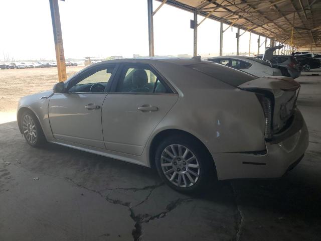 1G6DG5EYXB0131449 - 2011 CADILLAC CTS LUXURY COLLECTION Krem foto 2