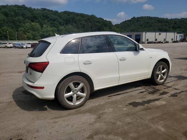 WA1M2AFP0HA078381 - 2017 AUDI Q5 PREMIUM PLUS WHITE photo 3