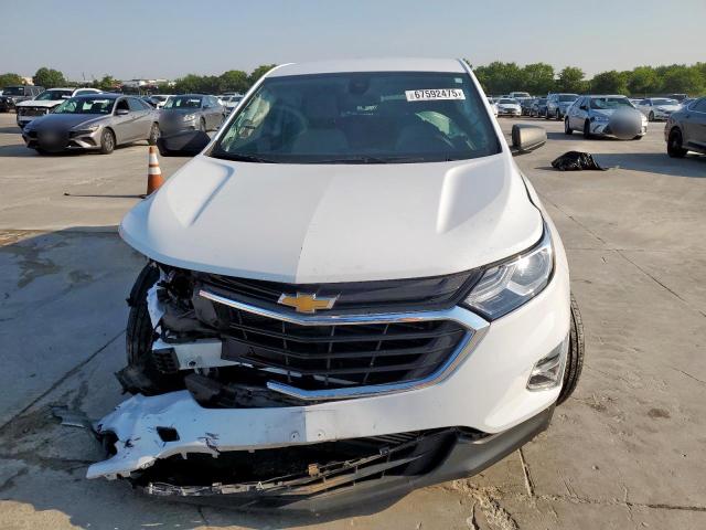 3GNAXHEV1MS163085 - 2021 CHEVROLET EQUINOX LS 白色 照片 5
