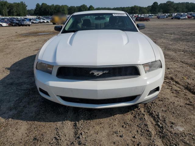 1ZVBP8AN6A5136387 - 2010 FORD MUSTANG WHITE photo 5