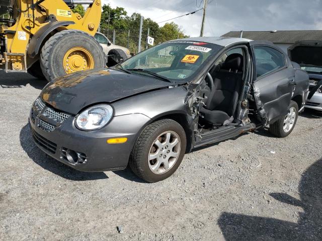 1B3ES56C93D176199 - 2003 DODGE NEON SXT GRAY photo 1