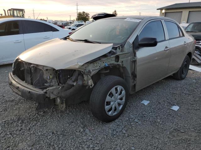 2T1BU4EE0AC317034 - 2010 TOYOTA COROLLA BASE BEIGE photo 1