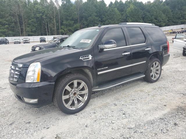 2011 CADILLAC ESCALADE, null
