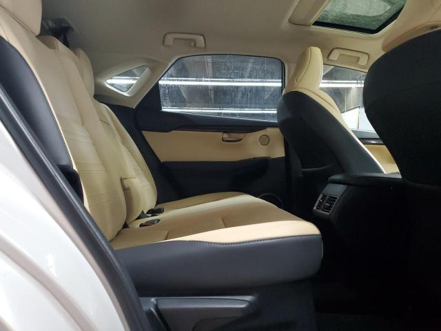 JTJDARDZXM5026297 - 2021 LEXUS NX 300 BASE Blanc photo 16