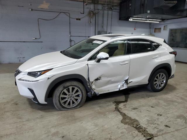 JTJDARDZXM5026297 - 2021 LEXUS NX 300 BASE Blanc photo 2