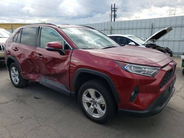 2T3RWRFV9LW083229 - 2020 TOYOTA RAV4 XLE RED photo 4