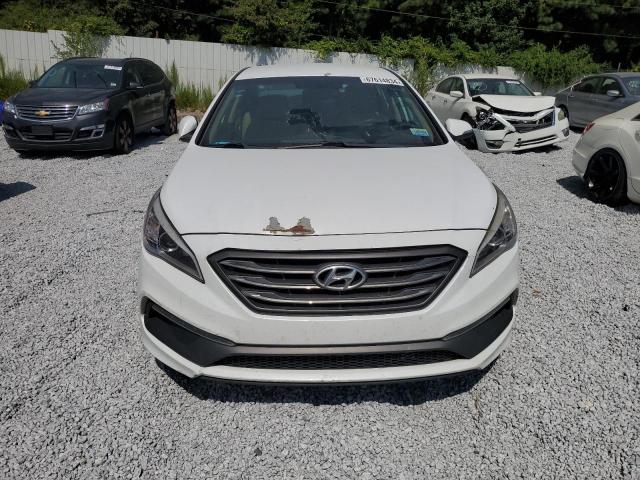 5NPE34AF5FH026810 - 2015 HYUNDAI SONATA SPORT WHITE photo 5