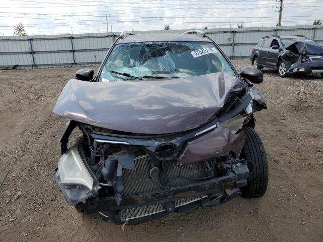 2T3BFREV7GW514501 - 2016 TOYOTA RAV4 LE PURPLE photo 5