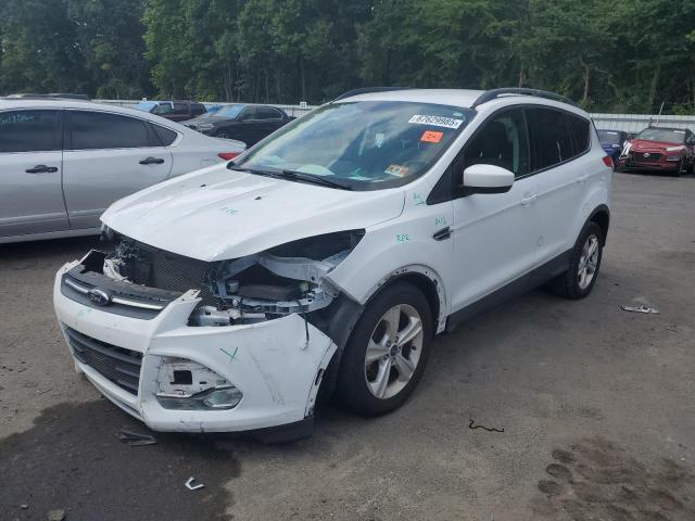 2014 FORD ESCAPE SE, 