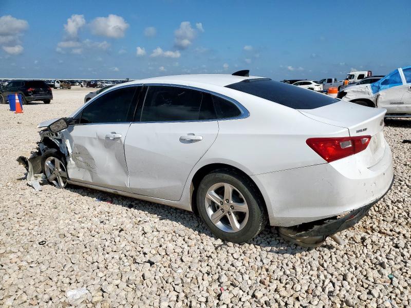 1G1ZB5ST1RF238142 - 2024 CHEVROLET MALIBU LS WHITE photo 2