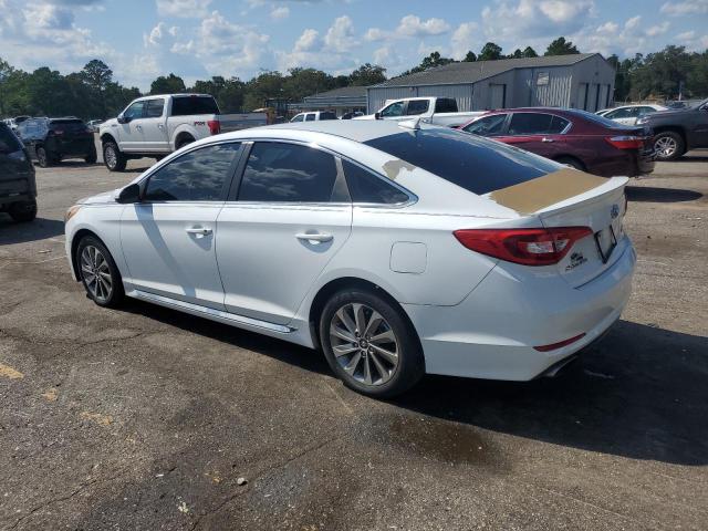5NPE34AF2GH405345 - 2016 HYUNDAI SONATA SPORT WHITE photo 2