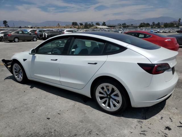5YJ3E1EB8NF360768 - 2022 TESLA MODEL 3 WHITE photo 2