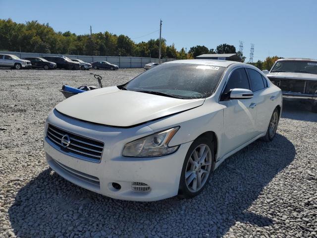 1N4AA5AP4BC806490 - 2011 NISSAN MAXIMA S WHITE photo 2