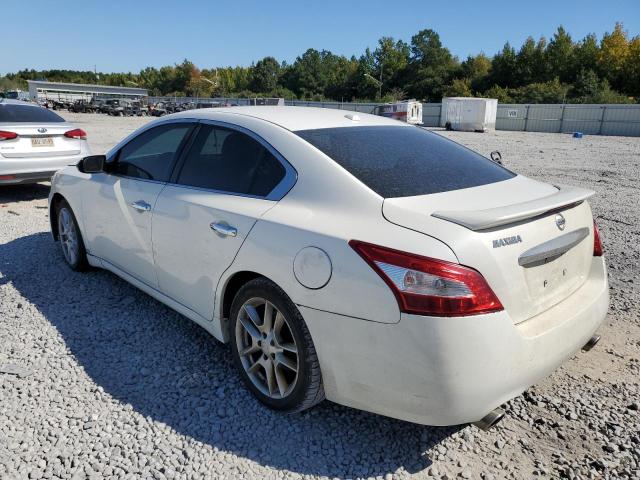 1N4AA5AP4BC806490 - 2011 NISSAN MAXIMA S WHITE photo 3