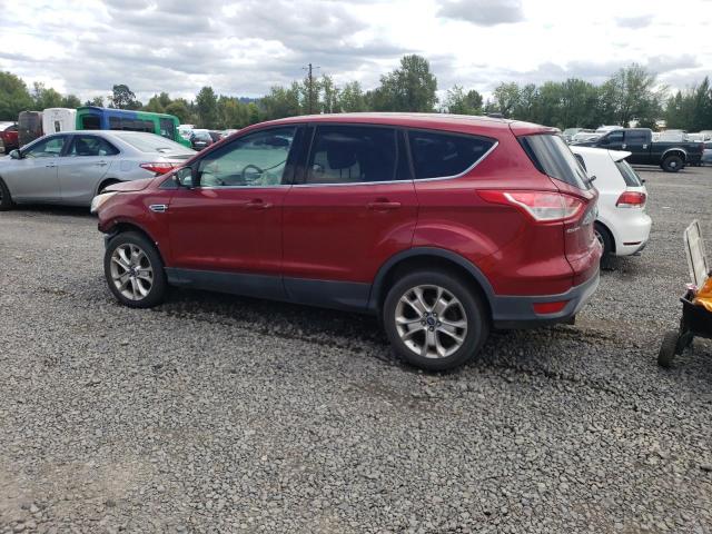 1FMCU9H99DUA49023 - 2013 FORD ESCAPE SEL RED photo 2